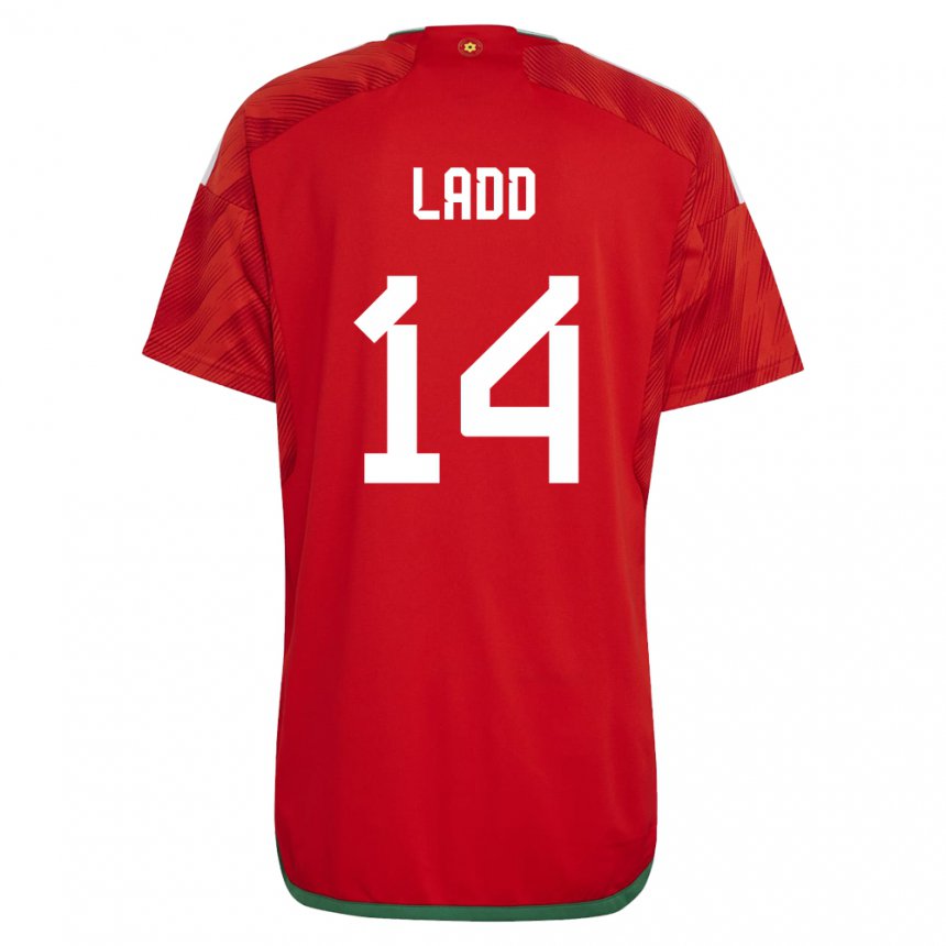 Dame Wales Hayley Ladd #14 Rød Hjemmetrøye Drakt Trøye 22-24 Skjorter T-skjorte